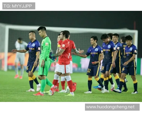 广州排球队实力引发热议球迷对球队未来发展看法各异